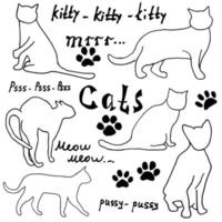 bocetos dibujados a mano gatos silhoets y rastros. garabatos contorneados con letras. elementos de ilustración vectorial aislados sobre fondo blanco vector