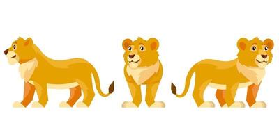 Lion cub in different poses. vector