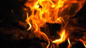 fuoco di legno che brucia fiamme video