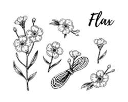 Set of Set of hand drawn flax flowers, branches and linen textile elements. Vector illustration in sketch style for linen seeds and oil packaging