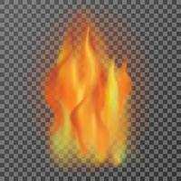 Realistic fire flames isolated on transparent background, vector illutration