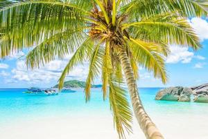 Beautiful tropical beach background photo