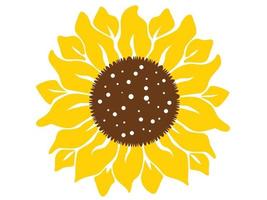 Sunflower isolated on white background. Boho tribal print.Flat design illustration vector