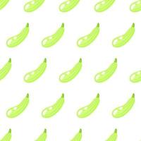 Vector seamless pattern with whole ripe green squash isolated on white background