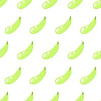 Vector seamless pattern with whole ripe green squash isolated on white background