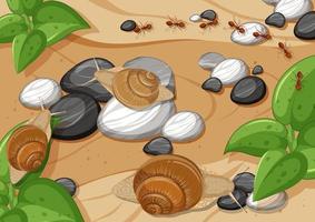 Close up aerial scene with many snail and ants vector