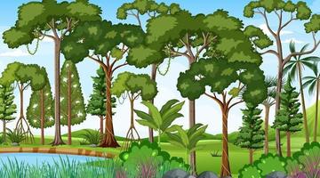 Forest landscape scene at day time with many different trees vector