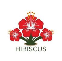 Hibiscus flower design