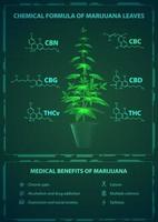 Beneficios médicos y fórmulas químicas de la marihuana, cartel verde con arbusto de marihuana digital con fórmulas químicas de cannabinoides naturales e infografía con beneficios médicos. vector