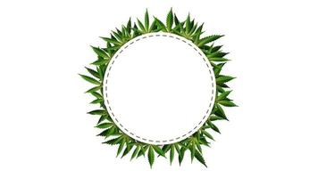 Circle frame of hemp leaves around a white empty space. Cannabis Leaf Frame Template for the Cannabis Industry vector