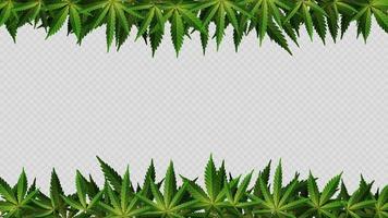 Frame of hemp leaves around horizontal empty space. Layout of a frame made of Cannabis Leafs for your creativity vector