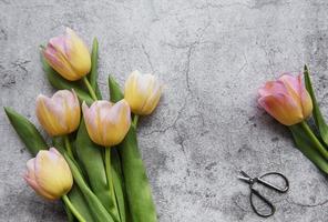 tulipanes de primavera sobre un fondo de hormigón foto