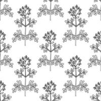 common rue, seamless b-w vector