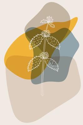 white horehound, abstract, poster, minimal