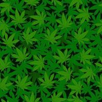 Marihuana hemp green grass background seamless patterns. Pattern for fabric, background, gift paper, wallpaper. vector