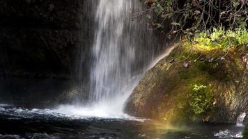 vattenfall i vild natur video