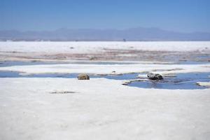 Salar de Uyuni surface with some water salt and rocks photo