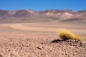 meseta desértica en bolivia foto