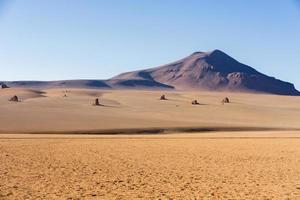 Volcanoes in the desert on plateau Altiplano, Bolivia photo