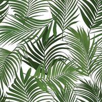 Palm leaf vector seamless pattern