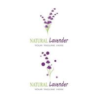 lavanda, logotipo, plantilla, vector, símbolo, naturaleza vector