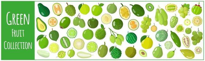 Set of vector cartoon illustrations with exotic green fruits isolated on white background.