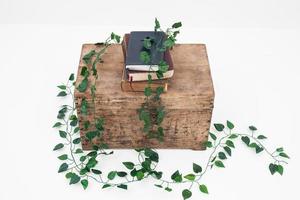 Books on a wooden box with white background photo