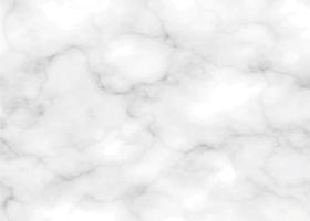 real grayscale marble texture background vector