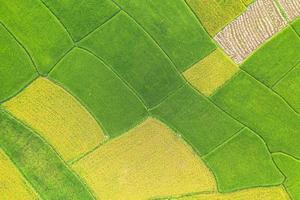 Aerial view of the green and yellow rice field photo