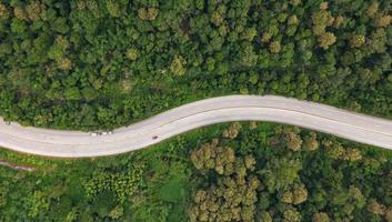 Aerial top view of pathway road in forest, view from drone photo