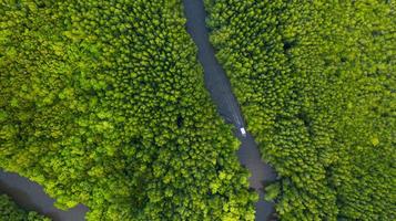 Aerial top view of boat on the river in Mangrove Forest Conservation in Thailand photo