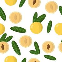 Vector cartoon seamless pattern with pouteria caimito or the abiu exotic fruits and leafs on white background