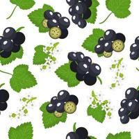 Vector cartoon seamless pattern with Ribes nigrum or Blackcurrant exotic fruits, flowers and leafs on white background