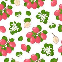 Vector cartoon seamless pattern with Carissa carandas or Carunda exotic fruits, flowers and leafs on white background