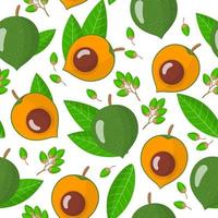 Vector cartoon seamless pattern with Pouteria lucuma exotic fruits, flowers and leafs on white background