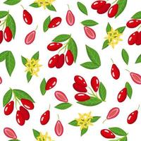 Vector cartoon seamless pattern with Dogwood exotic fruits, flowers and leafs on white background