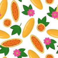 Vector cartoon seamless pattern with Passiflora mixta or Curuba exotic fruits, flowers and leafs on white background