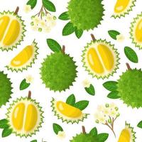 Vector de dibujos animados de patrones sin fisuras con durio o durian frutas exóticas, flores y hojas sobre fondo blanco.