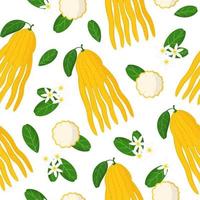 Vector cartoon seamless pattern with Citrus Buddha's hand exotic fruits, flowers and leafs on white background