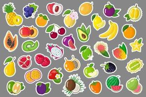 conjunto de pegatinas de ilustraciones de dibujos animados vectoriales con frutas y bayas exóticas de verano. vector