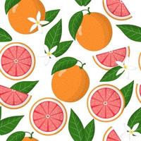 Vector cartoon seamless pattern with Citrus paradisi or Grapefruit exotic fruits, flowers and leafs on white background