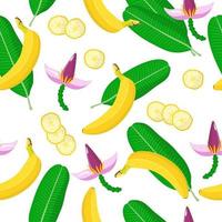 Vector de dibujos animados de patrones sin fisuras con plátano frutas exóticas, flores y hojas sobre fondo blanco.