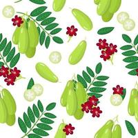 Vector cartoon seamless pattern with bilimbi or cucumber tree exotic fruits, flowers and leafs on white background