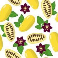 Vector cartoon seamless pattern with Lardizabala exotic fruits, flowers and leafs on white background