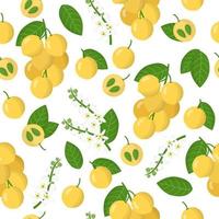 Vector cartoon seamless pattern with Lansium parasiticum or Langsat exotic fruits, flowers and leafs on white background