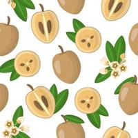 Vector cartoon seamless pattern with Manilkara zapota or Sapodilla exotic fruits, flowers and leafs on white background