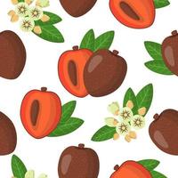 Vector cartoon seamless pattern with Pouteria sapota or Sapota exotic fruits, flowers and leafs on white background