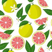 Vector cartoon seamless pattern with Citrus maxima or Pomelo exotic fruits, flowers and leafs on white background