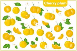 Set of vector cartoon illustrations with Cherry Plum exotic fruits, flowers and leaves isolated on white background