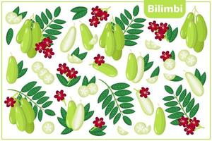 Set of vector cartoon illustrations with Bilimbi exotic fruits, flowers and leaves isolated on white background